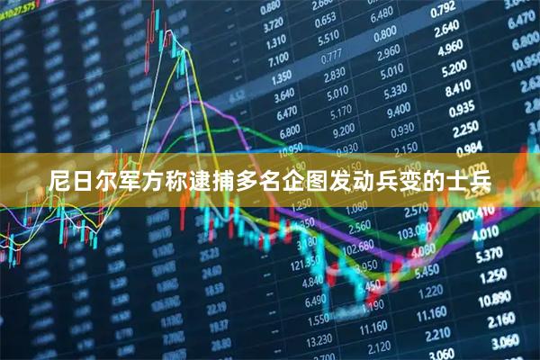 尼日尔军方称逮捕多名企图发动兵变的士兵